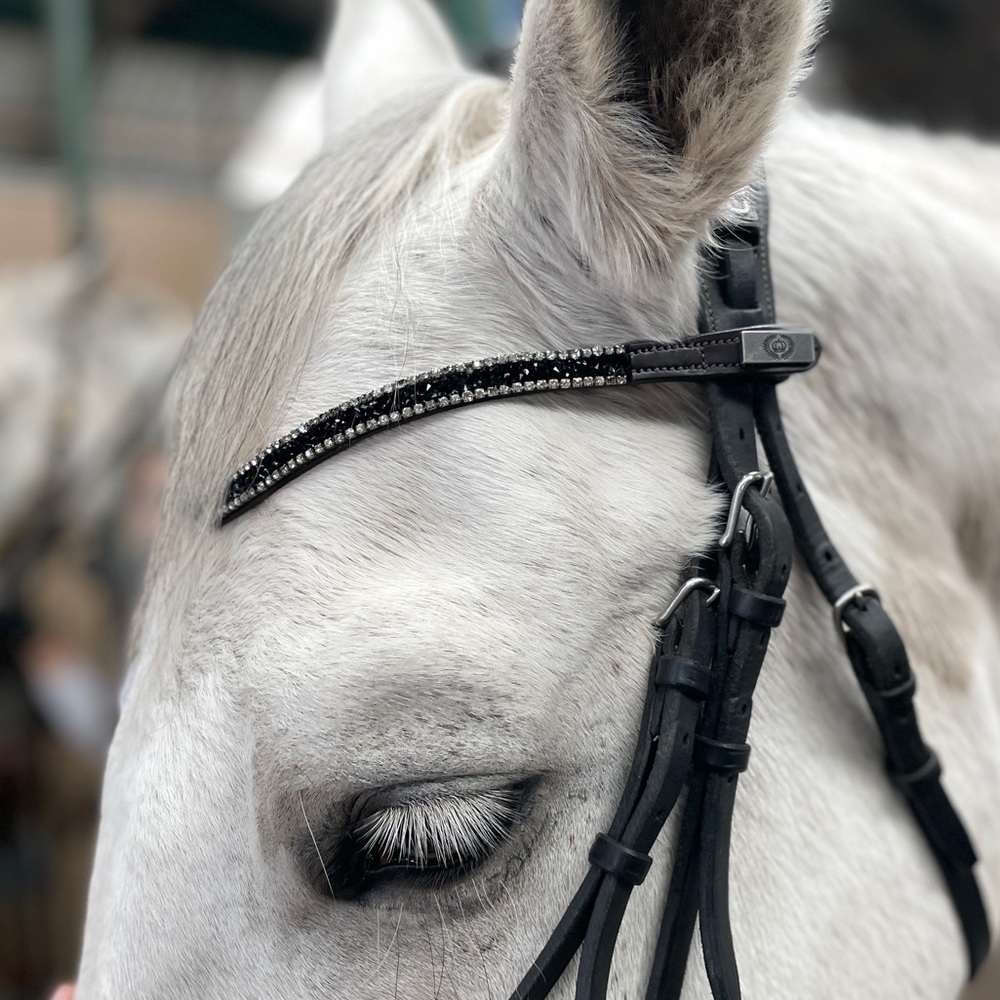 PS of Sweden raven crystal browband size cob (2)